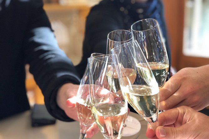 Wine trail and Christchurch City - Luxury, Small Group Tour - Port Hills panoramas: harbour, plains, and Southern Alps views