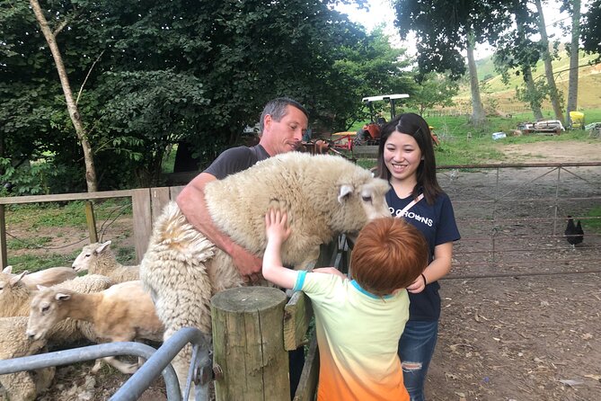 Wool Sheep Farm Experience with Handmade Wool Hat in New Zealand - Arriving at Ātiamuri: A Simple Start on Parsons Road