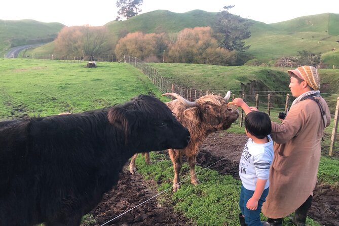 Wool Sheep Farm Experience with Handmade Wool Hat in New Zealand - Choosing Your Handmade Wooly Hat: A Souvenir You Can Feel