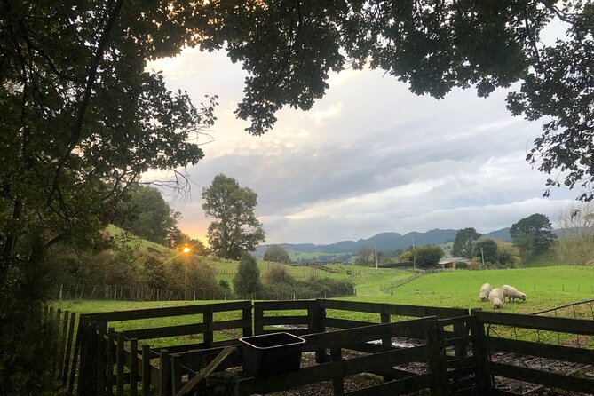 Wool Sheep Farm Experience with Handmade Wool Hat in New Zealand - Who This Fits Best (And Who Might Want Something Different)