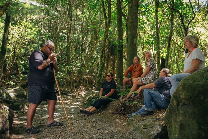 Your Kiwi Cultural Connection with Tu Tika Tours - AH Reed Kauri Park: Learning to See Native Forest as Living Ancestors