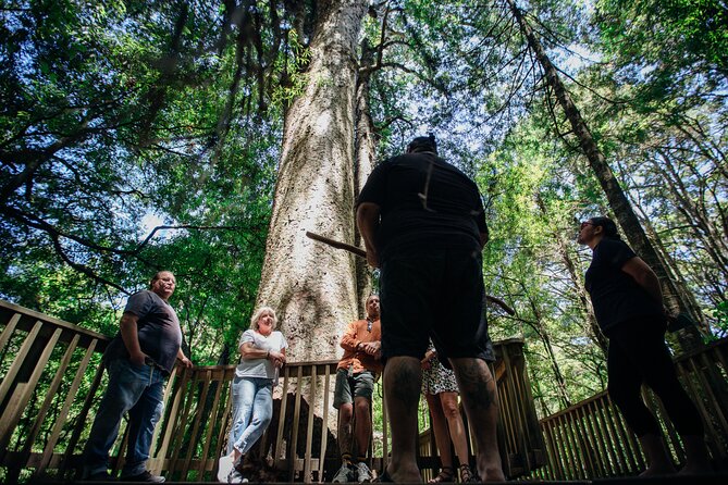 Your Kiwi Cultural Connection with Tu Tika Tours - Why the Small Group Size Changes Everything (Max 10)