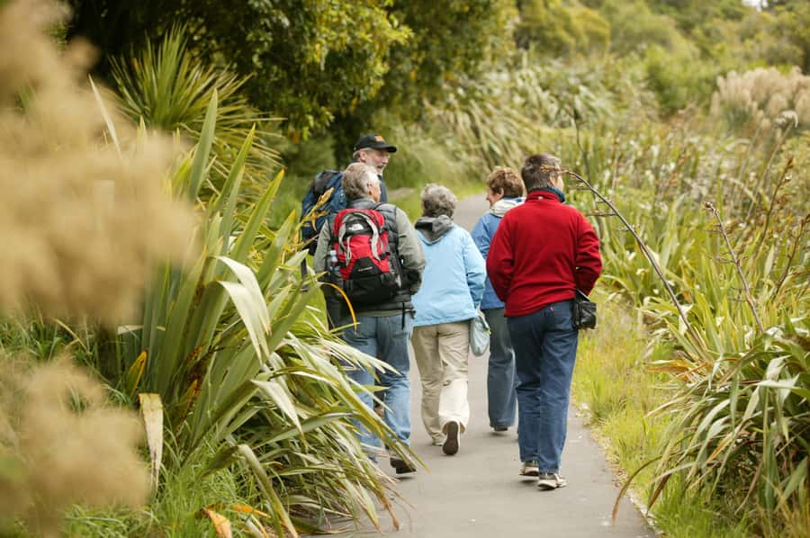 Zealandia by Day Tour - Key points before you go