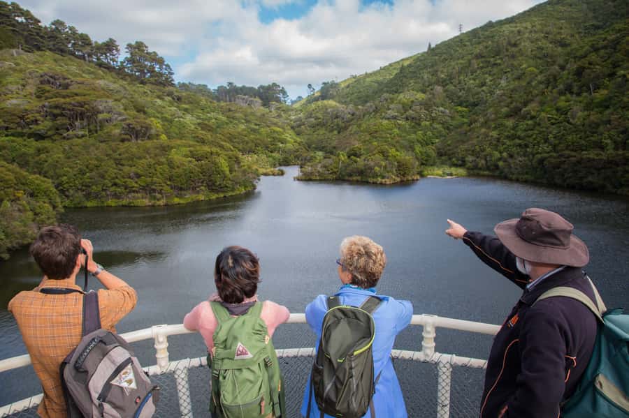 Zealandia by Day Tour - Price and What Your $41 Actually Buys