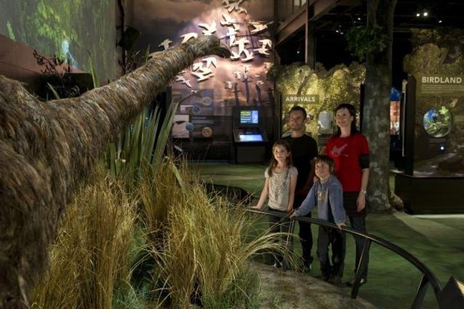 Zealandia Small Group Eco Wildlife Night Tour - Quick hits before you go