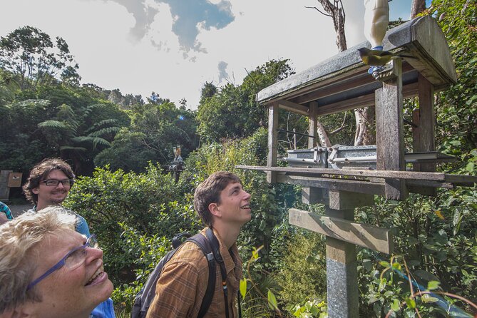 Zealandia Small Group Eco Wildlife Night Tour - The walking time, weather, and why your shoes matter
