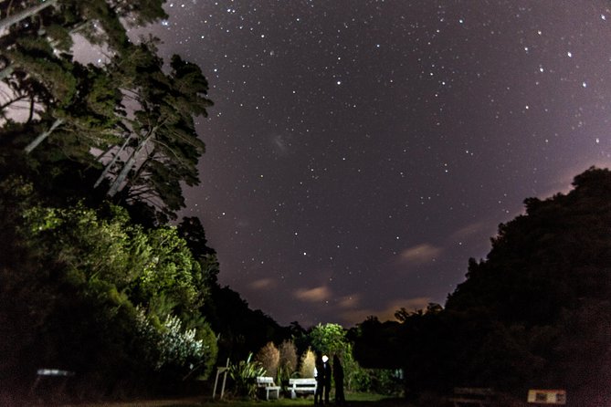 Zealandia Small Group Eco Wildlife Night Tour - Price and value for a 2.5-hour small group tour