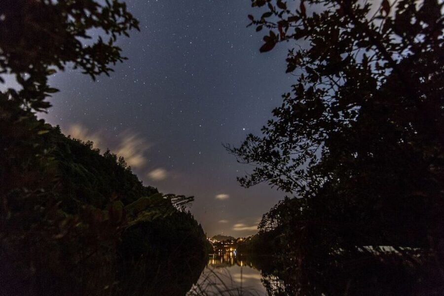 Zealandia Twilight Ecosanctuary Tour - Walking the sanctuary valley as the sky changes