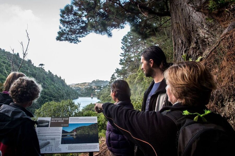 Zealandia Twilight Ecosanctuary Tour - Price and value: is $64 for 2.5 hours a smart buy?