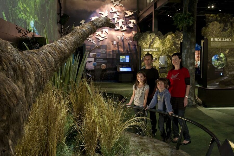 Zealandia Twilight Ecosanctuary Tour - Practical rules that affect your photos, shoes, and patience