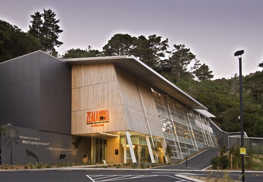 Zealandia Twilight Ecosanctuary Tour - What a 2.5-hour Zealandia twilight tour feels like
