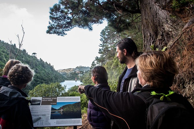 Zealandia - Twilight Guided Eco Wildlife Tour - Twilight Timing: Why 2 Hours Before Sunset Changes Everything