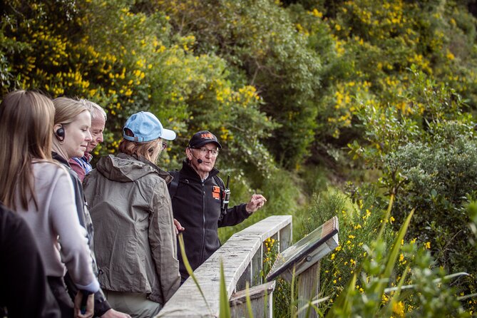 Zealandia - Twilight Guided Eco Wildlife Tour - What to Wear: Wellington Weather Rules for This Evening Walk