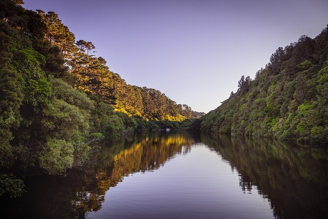 Zealandia - Twilight Guided Eco Wildlife Tour - Te Mara a Tane Exhibition: New Zealand’s Natural Story in 500 Years